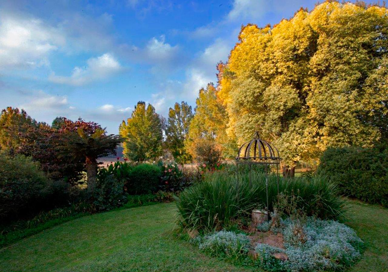 האוויק Amber Avenue Guesthouse מראה חיצוני תמונה