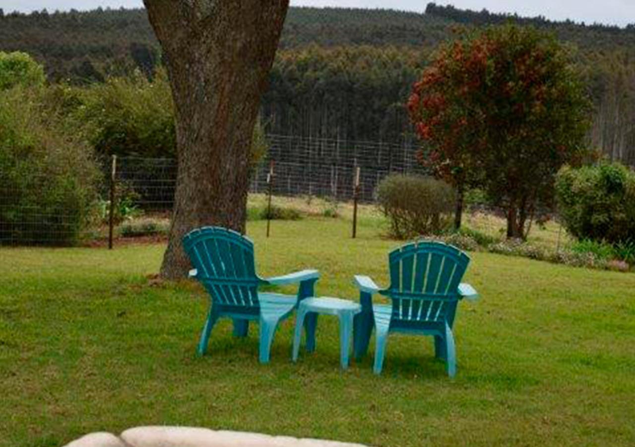 האוויק Amber Avenue Guesthouse מראה חיצוני תמונה